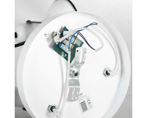 Сделать заказ Спот LOFT LSP-8803| VIVID-LIGHT.RU