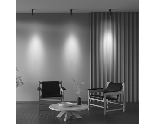 Купить Спот Maytoni Technical C055CL-L12W3K-Z-B| VIVID-LIGHT.RU