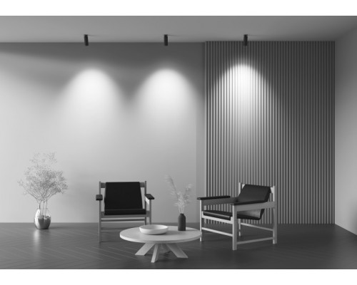 Оформить заказ Спот Maytoni Technical C053CL-L12W3K-W-B| VIVID-LIGHT.RU