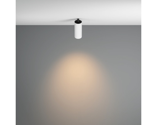 Сделать заказ Спот Maytoni Technical C053CL-L12W3K-W-W| VIVID-LIGHT.RU