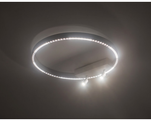 Оформить заказ Спот Ambrella Light FL5807| VIVID-LIGHT.RU