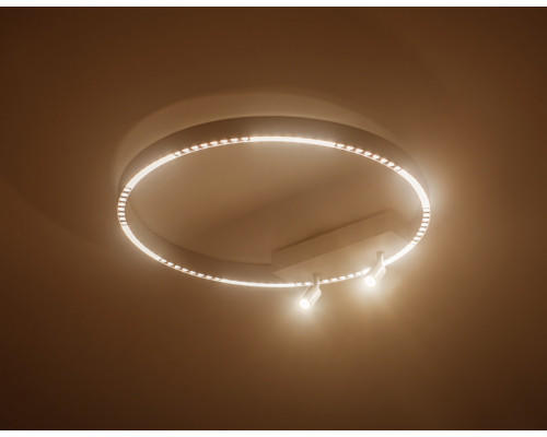 Оформить заказ Спот Ambrella Light FL5807| VIVID-LIGHT.RU