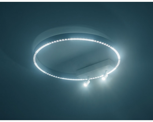 Оформить заказ Спот Ambrella Light FL5807| VIVID-LIGHT.RU