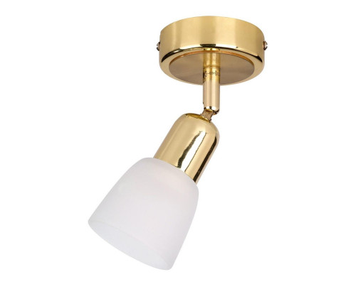 Заказать Спот Escada 5039/1PA| VIVID-LIGHT.RU