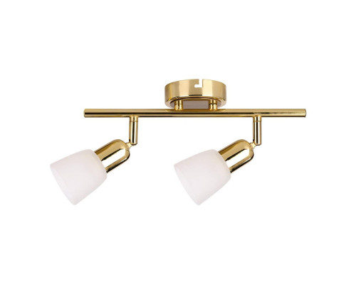 Сделать заказ Спот Escada 5039/2PA| VIVID-LIGHT.RU