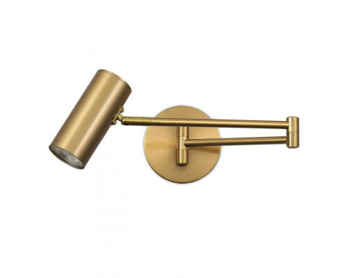 Сделать заказ Спот Evoluce SLE201021-01| VIVID-LIGHT.RU