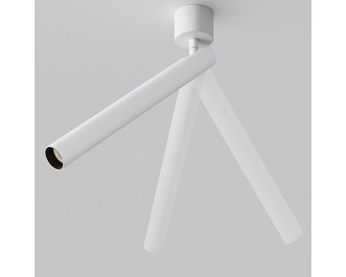 Сделать заказ Спот Maytoni Technical C141CL-L300-6W3K-W| VIVID-LIGHT.RU