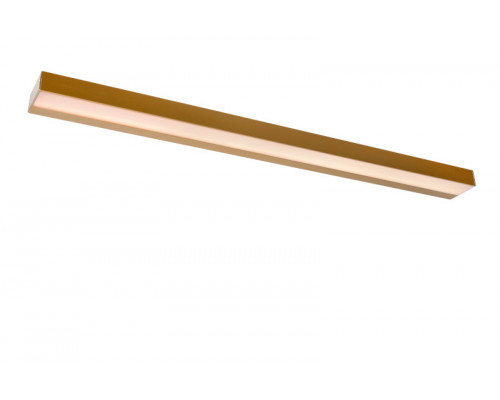 Оформить заказ Светильник для картин LUCIDE 04210/13/02| VIVID-LIGHT.RU