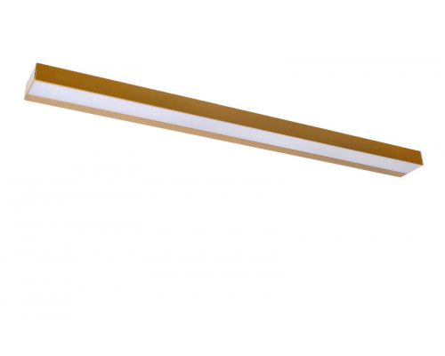 Оформить заказ Светильник для картин LUCIDE 04210/13/02| VIVID-LIGHT.RU