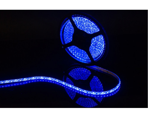 Заказать Лента SWG SWG3120-12-9.6-B-65| VIVID-LIGHT.RU