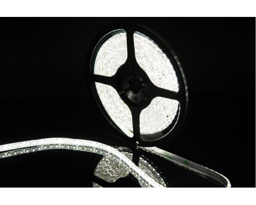 Заказать Лента SWG SWG3120-12-9.6-W-65| VIVID-LIGHT.RU