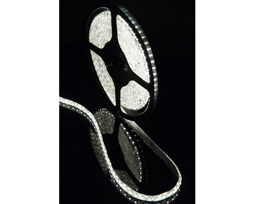 Заказать Лента SWG SWG3120-12-9.6-W-65| VIVID-LIGHT.RU