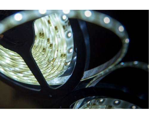 Сделать заказ Лента SWG SWG360-12-4.8-W-65| VIVID-LIGHT.RU