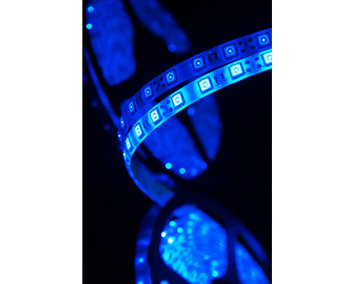 Оформить заказ Лента SWG SWG560-12-14.4-B-65| VIVID-LIGHT.RU