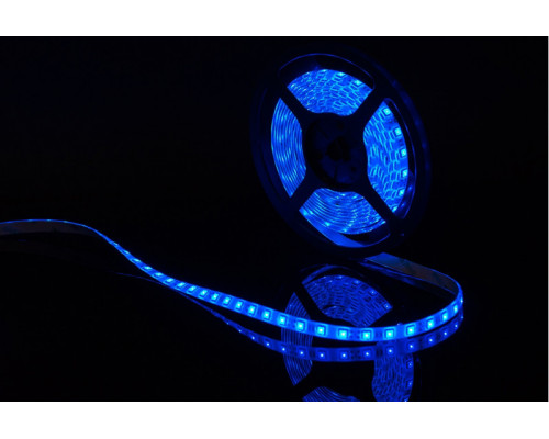 Оформить заказ Лента SWG SWG560-12-14.4-B-65| VIVID-LIGHT.RU