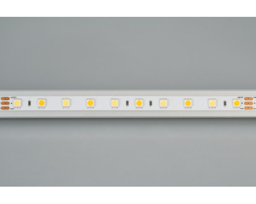 Заказать Лента Arlight 025213(1)| VIVID-LIGHT.RU