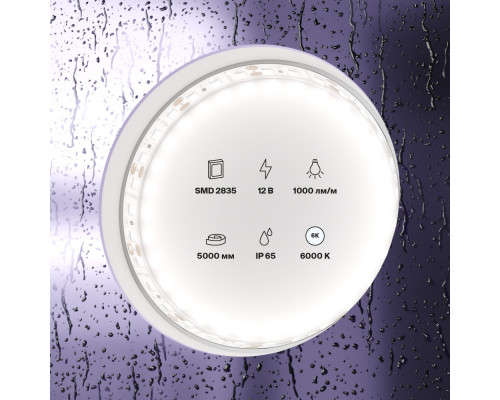 Сделать заказ Лента Maytoni Technical 10113| VIVID-LIGHT.RU