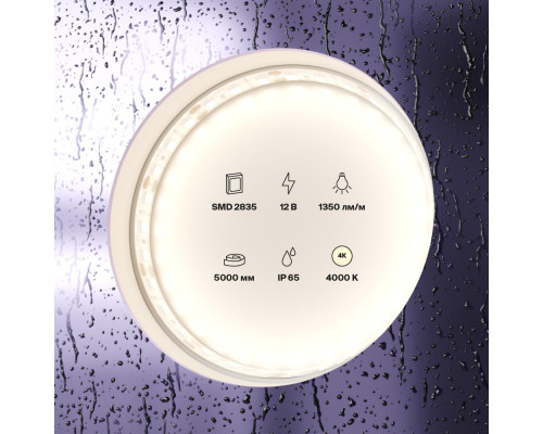 Заказать Лента Maytoni Technical 10118| VIVID-LIGHT.RU