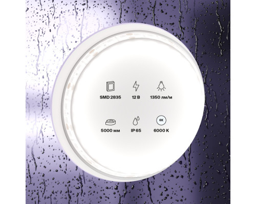 Сделать заказ Лента Maytoni Technical 10119| VIVID-LIGHT.RU