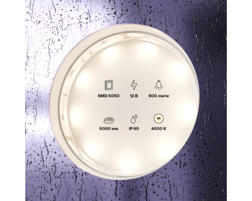 Заказать Лента Maytoni Technical 10124| VIVID-LIGHT.RU