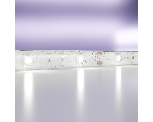 Сделать заказ Лента Maytoni Technical 10125| VIVID-LIGHT.RU