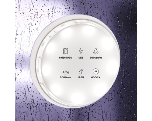 Сделать заказ Лента Maytoni Technical 10125| VIVID-LIGHT.RU