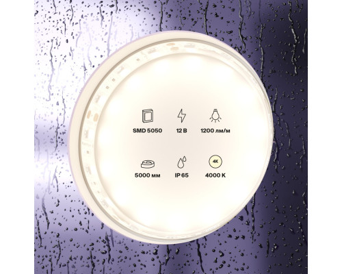 Заказать Лента Maytoni Technical 10132| VIVID-LIGHT.RU