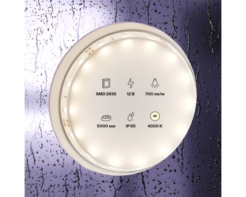 Оформить заказ Лента Maytoni Technical 20005| VIVID-LIGHT.RU