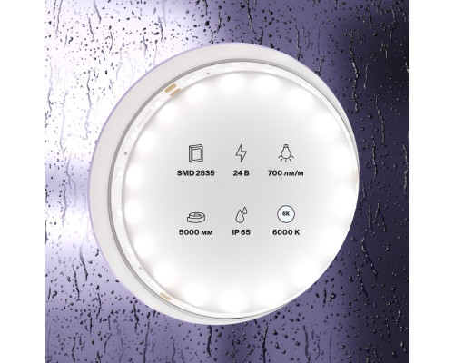 Оформить заказ Лента Maytoni Technical 20018| VIVID-LIGHT.RU