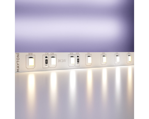 Купить Лента Maytoni Technical 20040| VIVID-LIGHT.RU