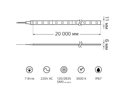 Купить Лента Gauss 311000122| VIVID-LIGHT.RU