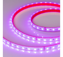 Лента Arlight 024587(2)