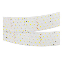 Лента Arlight 019082(2)