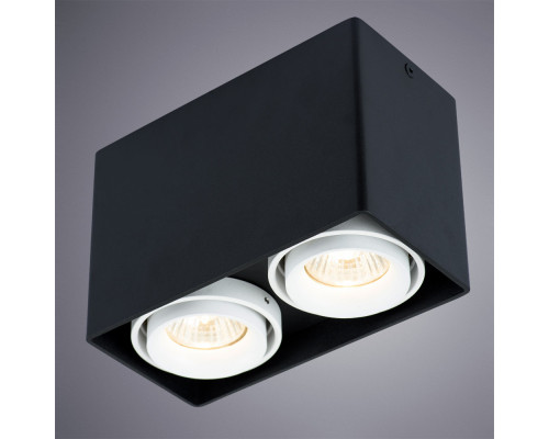 Купить Накладной светильник ARTE Lamp A5655PL-2BK| VIVID-LIGHT.RU