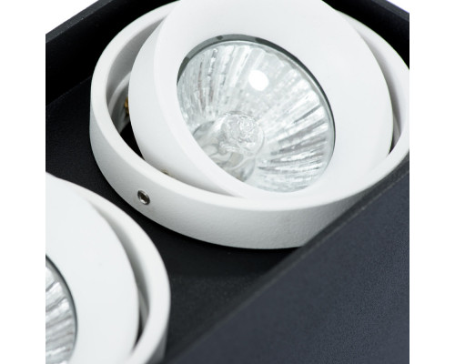 Купить Накладной светильник ARTE Lamp A5655PL-2BK| VIVID-LIGHT.RU