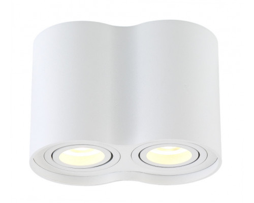 Купить Накладной светильник Crystal Lux CLT 410C2 WH| VIVID-LIGHT.RU