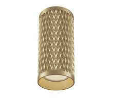 Накладной светильник Maytoni Technical C036CL-01G