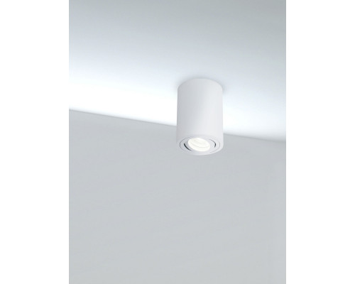 Оформить заказ Накладной светильник Maytoni Technical C016CL-01W| VIVID-LIGHT.RU