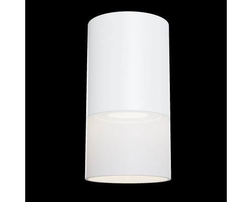 Сделать заказ Накладной светильник Maytoni Technical C007CW-01W| VIVID-LIGHT.RU