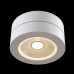 Оформить заказ Накладной светильник Maytoni Technical C022CL-L12W4K| VIVID-LIGHT.RU
