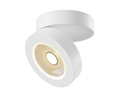Оформить заказ Накладной светильник Maytoni Technical C022CL-L12W4K| VIVID-LIGHT.RU