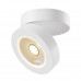 Оформить заказ Накладной светильник Maytoni Technical C022CL-L12W4K| VIVID-LIGHT.RU