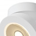 Оформить заказ Накладной светильник Maytoni Technical C022CL-L12W4K| VIVID-LIGHT.RU
