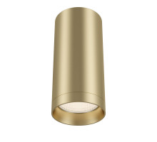 Накладной светильник Maytoni Technical C010CL-01MG