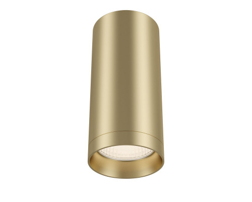 Сделать заказ Накладной светильник Maytoni Technical C010CL-01MG| VIVID-LIGHT.RU