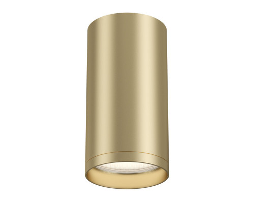 Заказать Накладной светильник Maytoni Technical C052CL-01MG| VIVID-LIGHT.RU