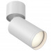 Оформить заказ Накладной светильник Maytoni Technical C050CL-1W| VIVID-LIGHT.RU