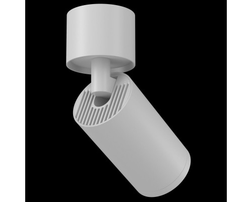 Оформить заказ Накладной светильник Maytoni Technical C050CL-1W| VIVID-LIGHT.RU