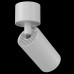 Оформить заказ Накладной светильник Maytoni Technical C050CL-1W| VIVID-LIGHT.RU
