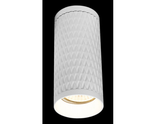 Заказать Накладной светильник Maytoni Technical C036CL-01W| VIVID-LIGHT.RU